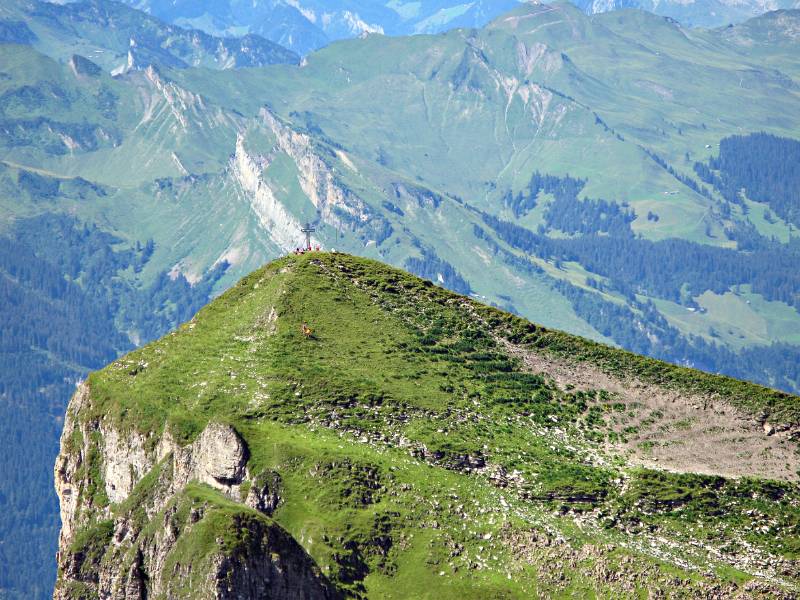 Der Nachbar vom Druesberg: Forstberg vom Druesberg aus