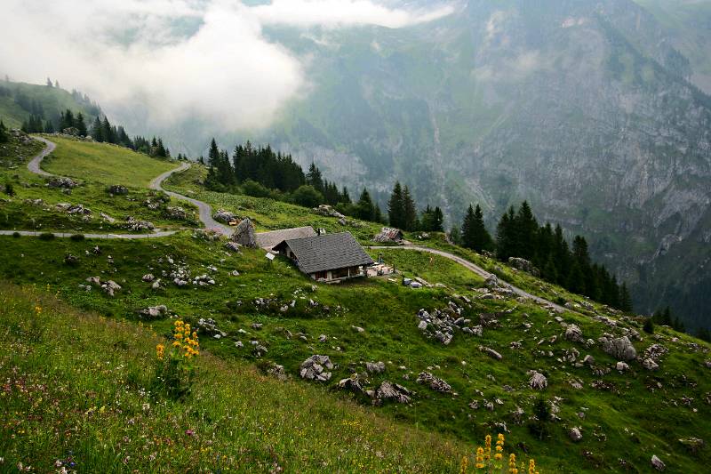 Rigidalstafel