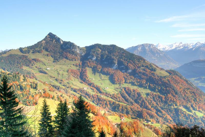Rigi Hochflue umringen von farbigen Wäldern
