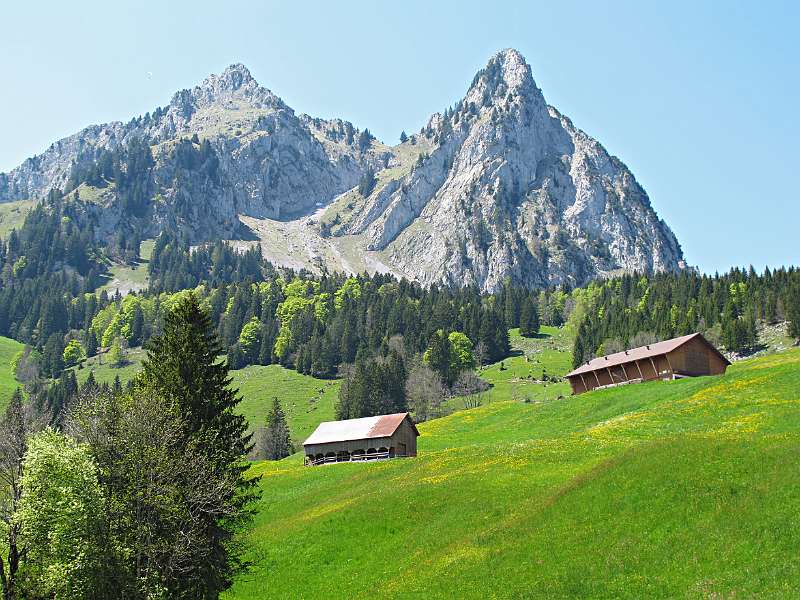 Image Wanderung Kl. Mythen <br />