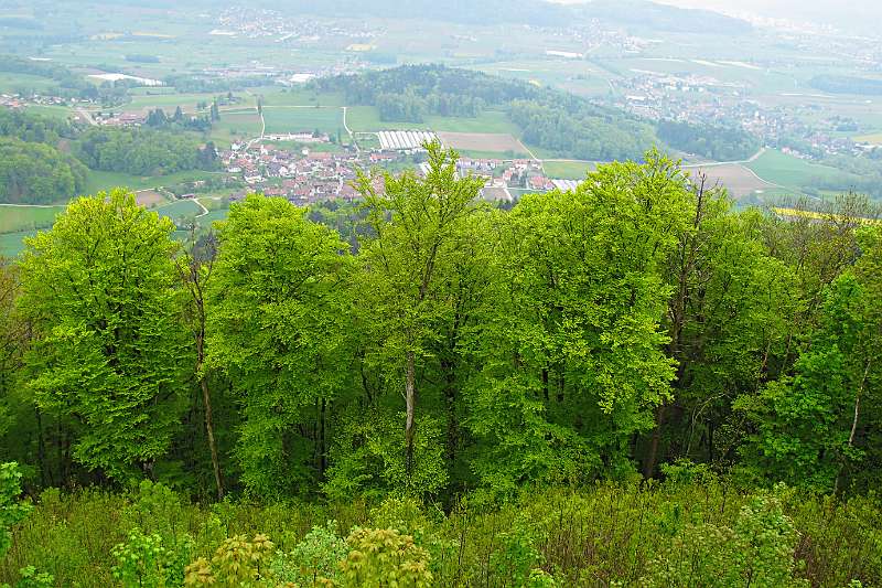 Image Wanderung Laegern