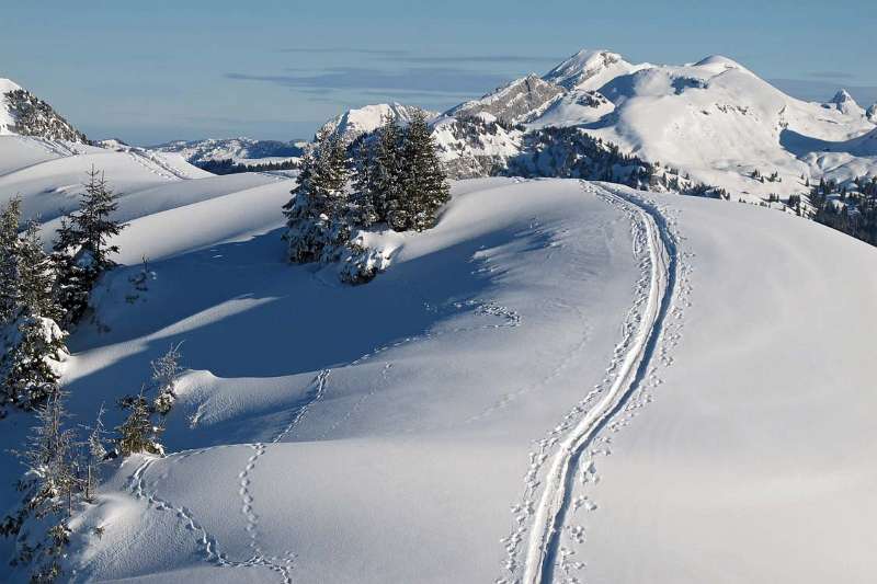 Skispuren und Flübrig im Hintergrund