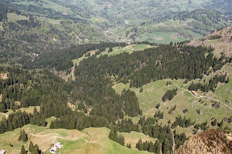 Die Voralpenlandschaft vom Gipfel aus