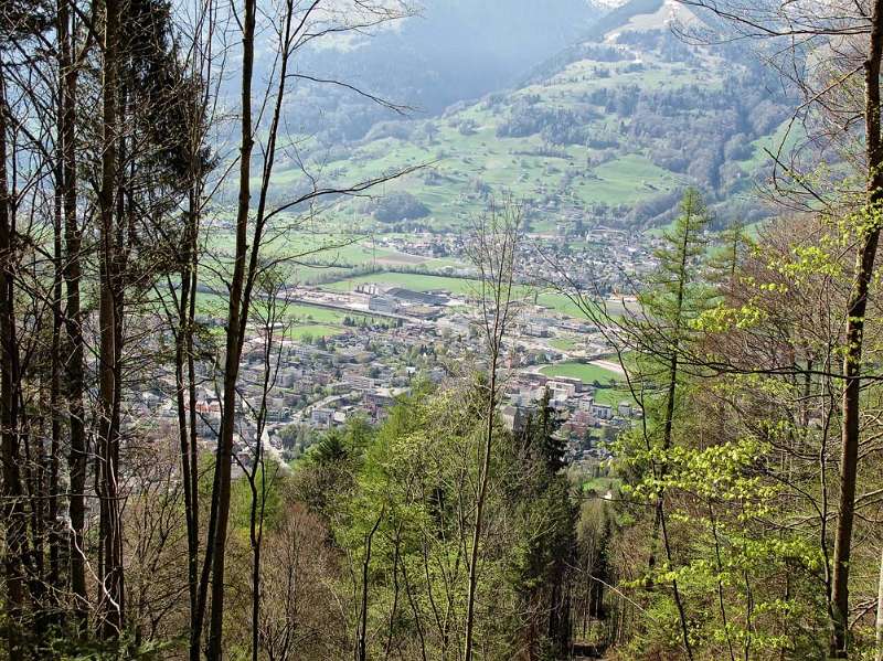 Blick durch die Lichtung auf Sargans