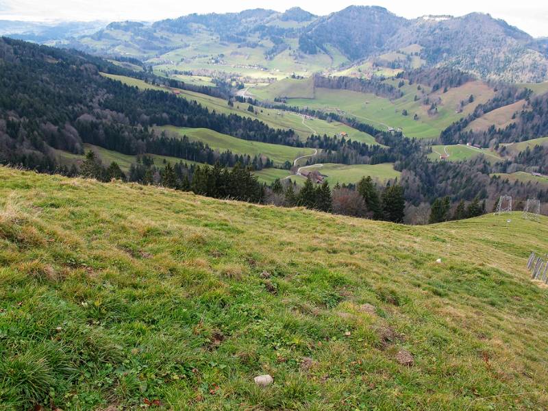 Blick ins Goldingertal
