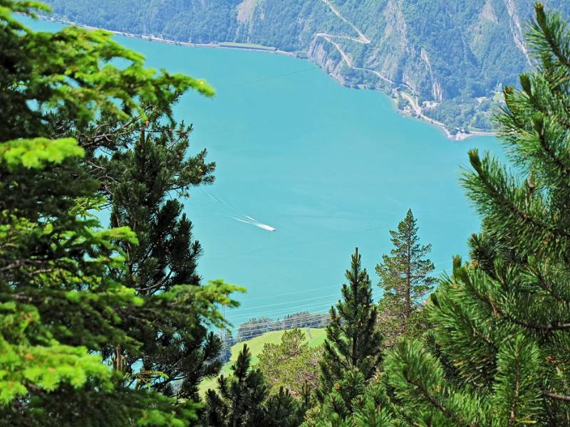 Blauer Urnersee