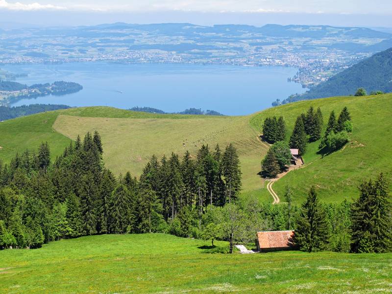 Ausblick auf Zugersee