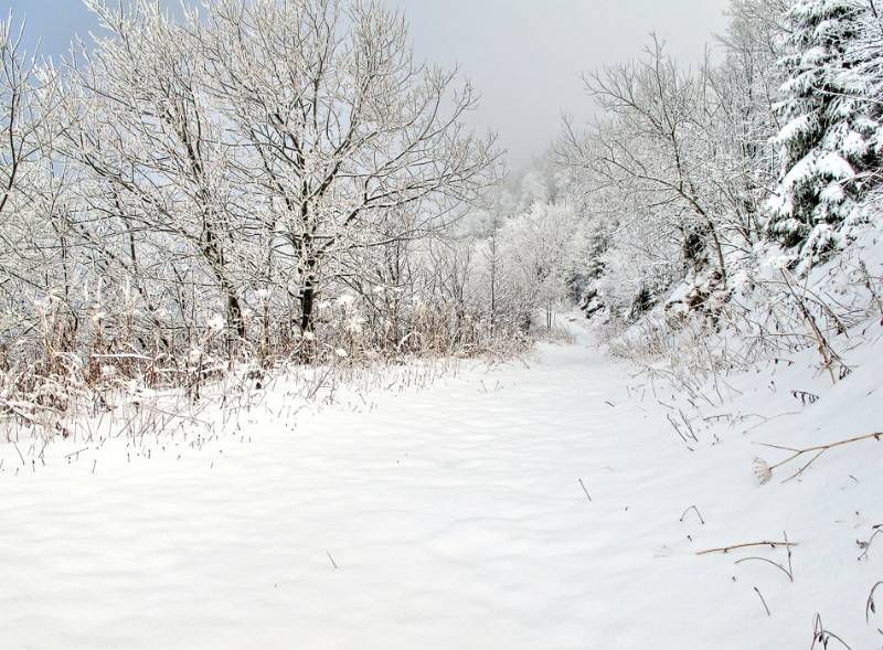 Schöne Winterlandschaft