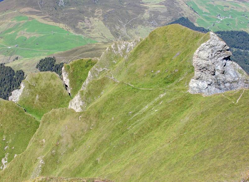 Im Abstieg: sehr guter Wanderweg geht immer wieder über steile Grassflanke