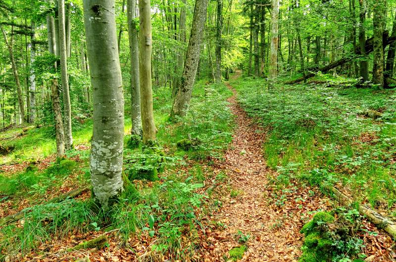 Image Wanderung-Roti-Flue-Raemelspitz