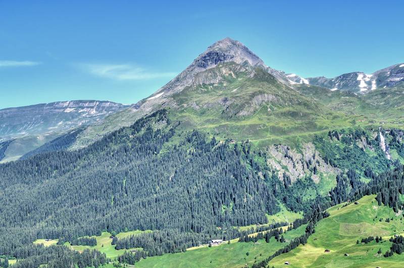 Reeti