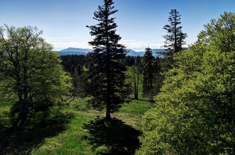Blick nach Süden Richtung Berner Berge