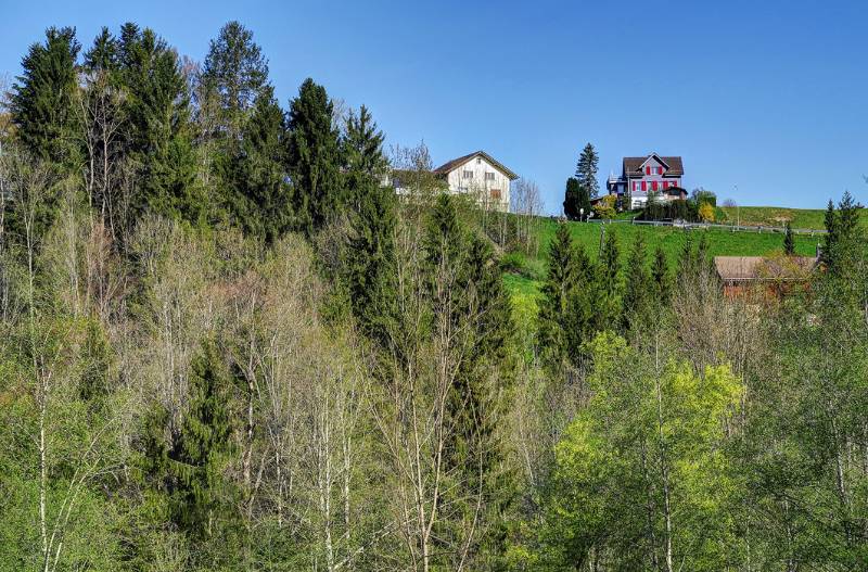 180422-Wanderung-Chruez-Toggenburg_0125_6_7