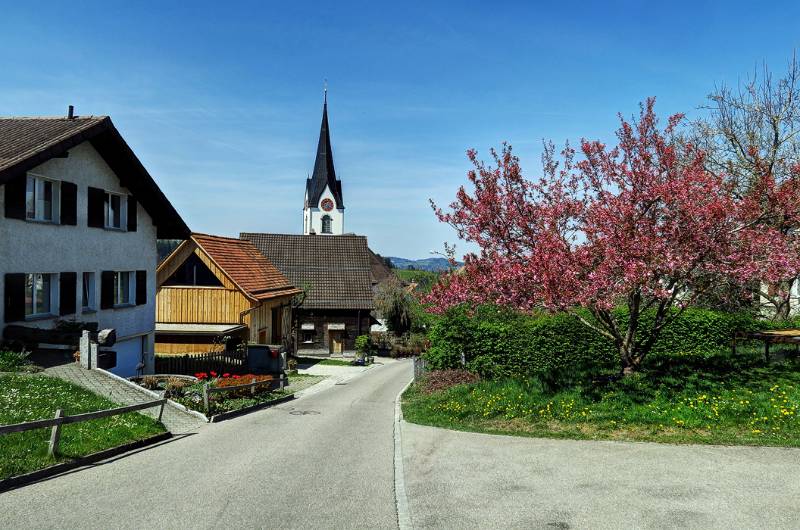 Wieder zurück in Mogelsberg