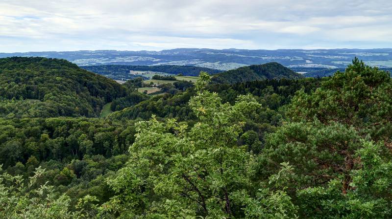 200825-Wanderung-Geissberg_7219_20_21