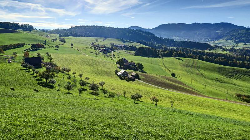 211015-Wanderung-rundum-Menzingen_8199_200_201