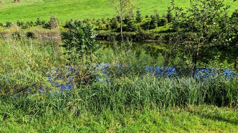 211015-Wanderung-rundum-Menzingen_8220_1_2