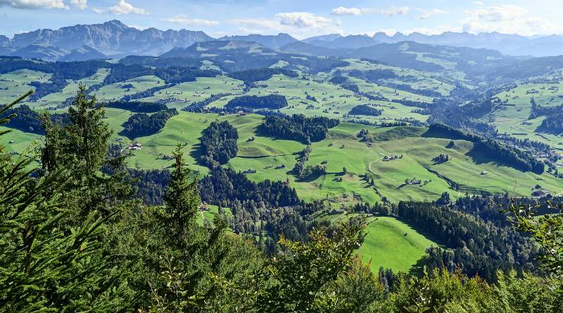 Weiter Blick Richtung Churfirsten und Säntis