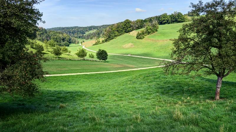 210923-Wanderung-Linn-Effinger-Roemerweg-Linn_7953_4_5