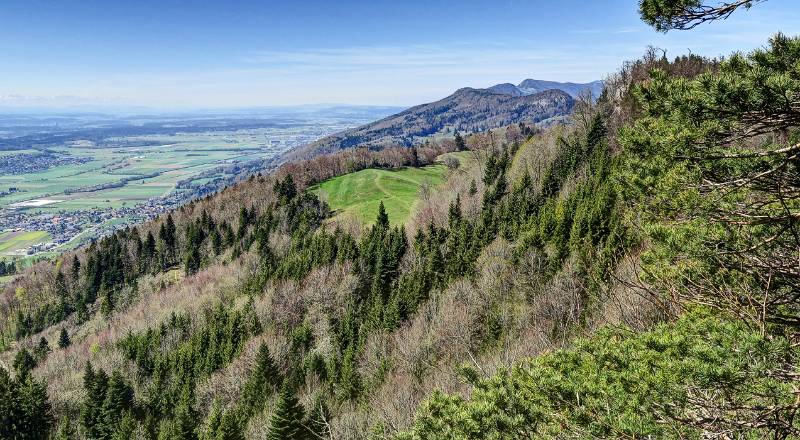 Blick Richtung Roggenflue