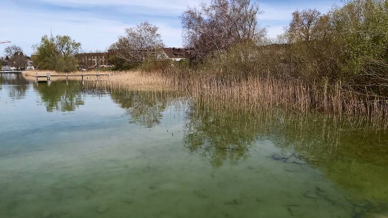 Am See