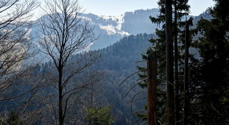 Oben gibt es noch Schnee