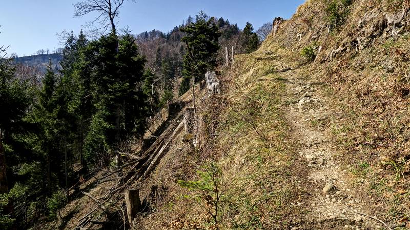 Hinauf auf dem schönen Terrassenweg