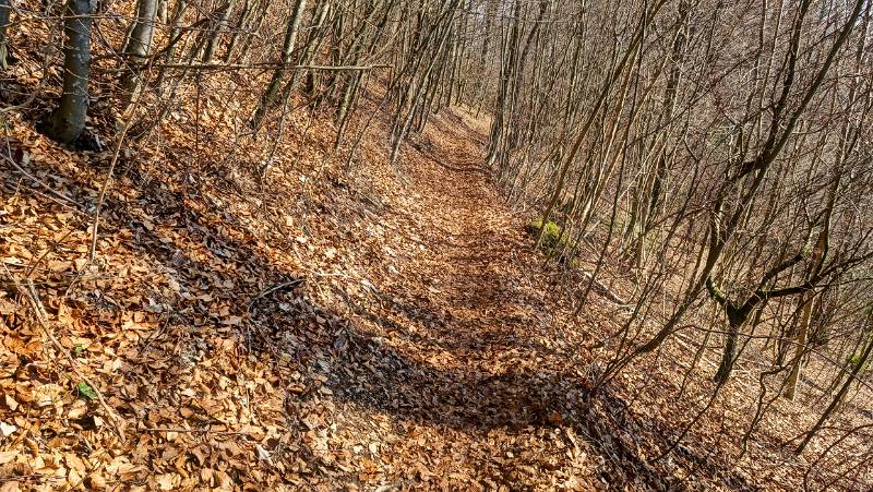Über das Laub des letzten Herbstes