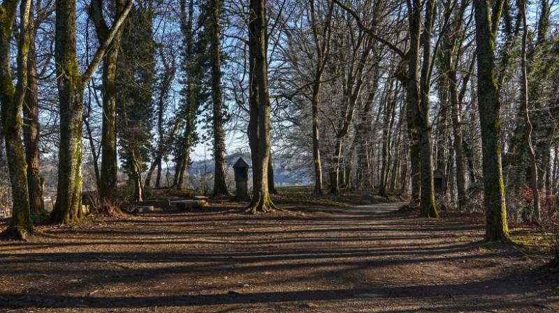 241231-Greppe-Runde-00880_1_2