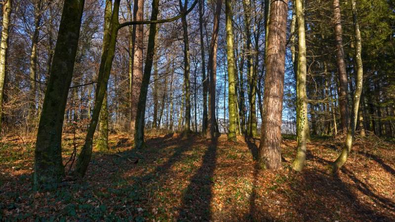 241231-Greppe-Runde-00889_90_91