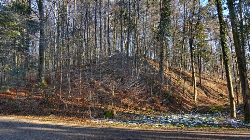 241231-Greppe-Runde-00892_3_4