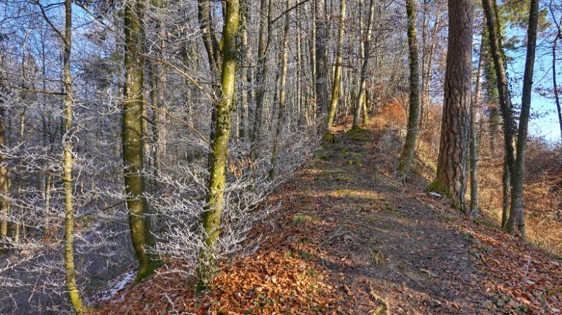 Image Greppe-Runde - eine Wanderung am Fuss von Lägern