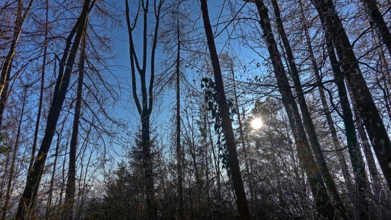 241231-Greppe-Runde-00901_2_3