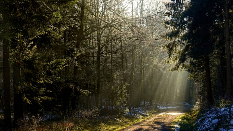 241231-Greppe-Runde-00908_ek_Day01