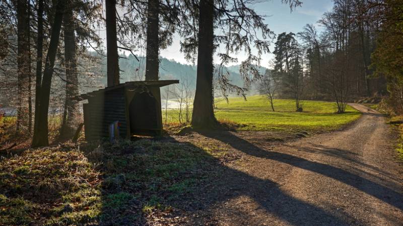 241231-Greppe-Runde-00910_1_2