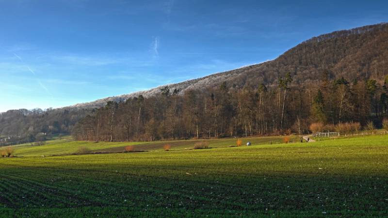 241231-Greppe-Runde-00922_3_4