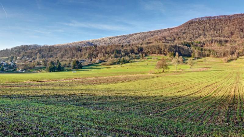 241231-Greppe-Runde-00931_2_3