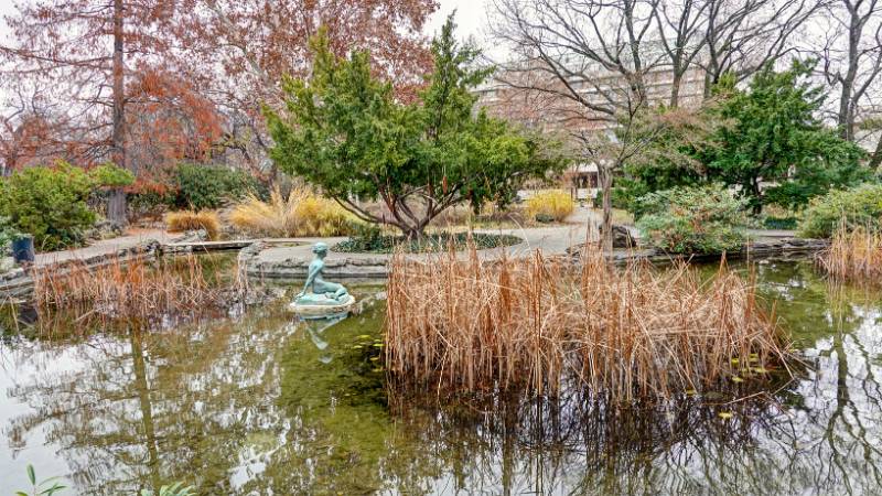 Japanese Garden (Japánkert)