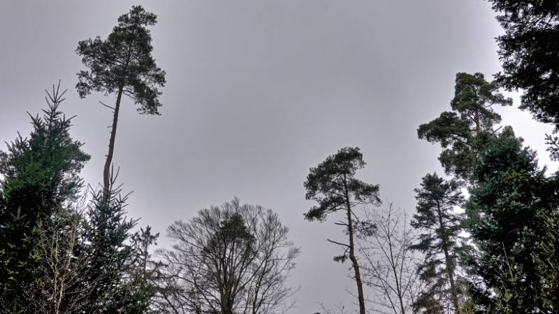 Grauer Himmel