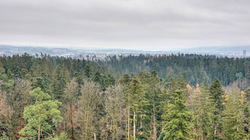 Weit auf dem Horizont ist Greifensee