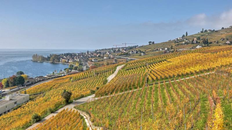 241030-Wanderung-Lavaux-StSaphorin-Lutry-00001_2_3