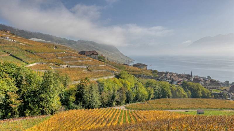 241030-Wanderung-Lavaux-StSaphorin-Lutry-00028_29_30