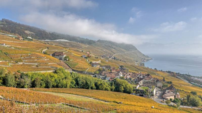 241030-Wanderung-Lavaux-StSaphorin-Lutry-00034_5_6
