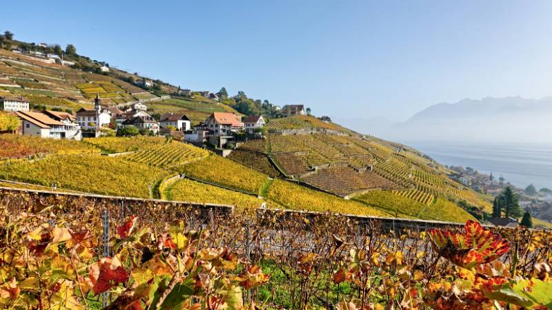 Farbige Blätter im Herbst
