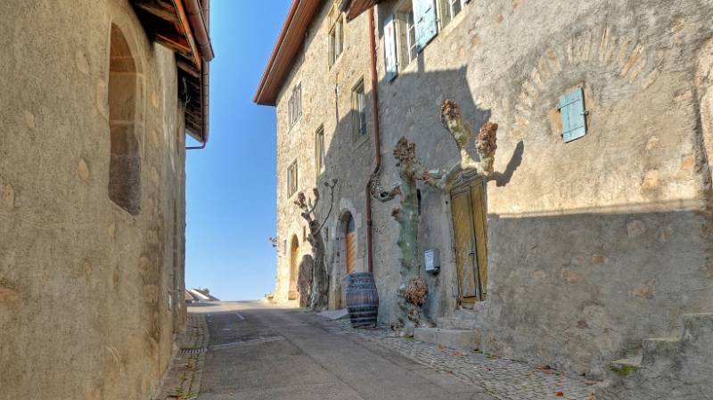 Montagny
