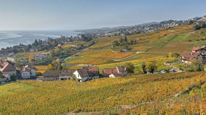 241030-Wanderung-Lavaux-StSaphorin-Lutry-00088_89_90