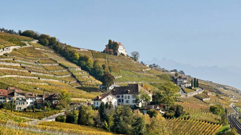 Sehr schöne Landschaft und Farben von Lavaux, mit Winzerhäusern inmitten von