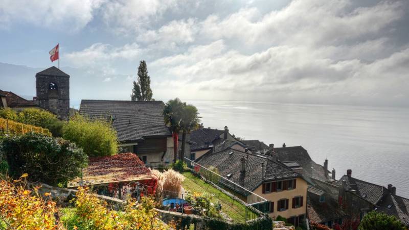 Blick zurück auf St. Saphorin am Genfersee