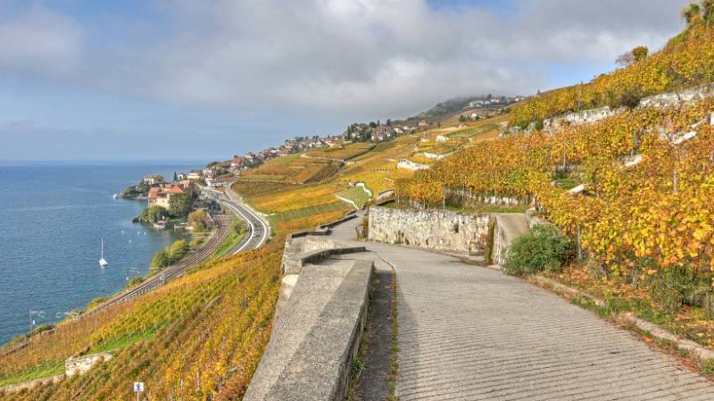 Auf Weinberg-Terrassen geht es weiter Richtung Lutry