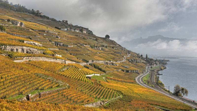 241030-Wanderung-Lavaux-StSaphorin-Lutry-09940_1_2